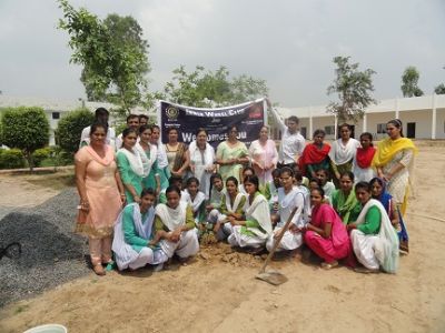 Tree Plantation on 24.07.2016