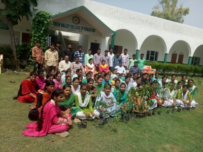 Tree Plantation 